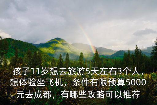 成都哪里可以體驗坐飛機,想體驗坐飛機