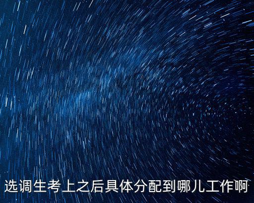 選調生考上之后具體分配到哪兒工作啊