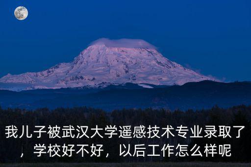我兒子被武漢大學(xué)遙感技術(shù)專業(yè)錄取了，學(xué)校好不好，以后工作怎么樣呢