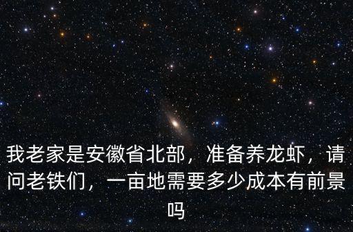 合肥蝦塘多少錢一畝,一畝親蝦塘產多少蝦苗