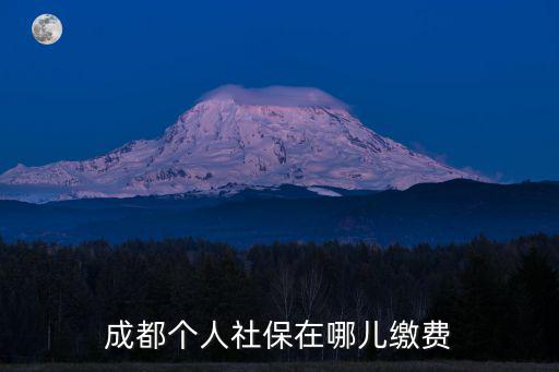 成都個人社保在哪兒繳費