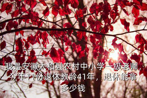 我是安徽太和縣農(nóng)村中小學(xué)一級(jí)老師，今年11份退休教齡41年，退休能拿多少錢(qián)