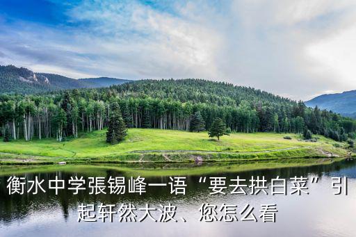 衡水中學(xué)張錫峰一語(yǔ)“要去拱白菜”引起軒然大波、您怎么看