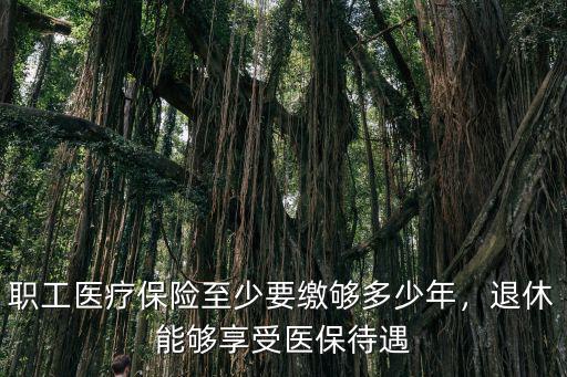 職工醫(yī)療保險(xiǎn)至少要繳夠多少年，退休能夠享受醫(yī)保待遇