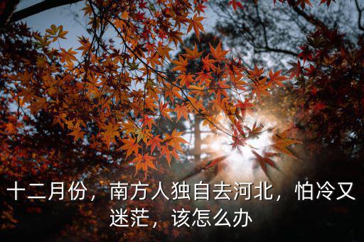廣東去河北多少人,南方人獨自去河北
