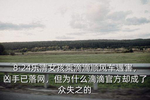 滴滴順風車事件兇手是四川哪里人,滴滴順風車再出命案