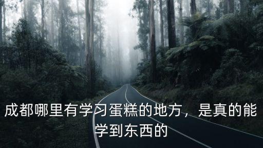 成都哪里有沙皮狗蛋糕,成都哪里有學(xué)習(xí)蛋糕的地方