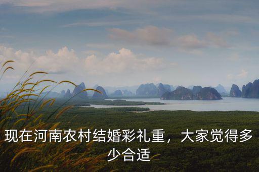 現(xiàn)在河南農(nóng)村結(jié)婚彩禮重，大家覺得多少合適