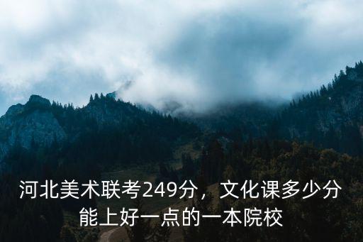 河北美術聯考249分，文化課多少分能上好一點的一本院校