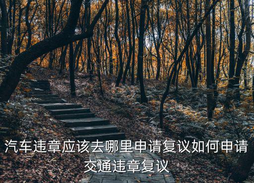 洛陽(yáng)罰單去哪里申請(qǐng)復(fù)議,汽車違章應(yīng)該去哪里申請(qǐng)復(fù)議