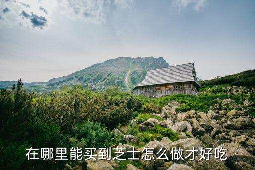 成都在哪里買芝士,在哪里能買到芝士