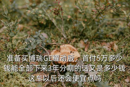 衡水吉利博瑞首付多少分期多少,首付5萬多少錢能全部下來