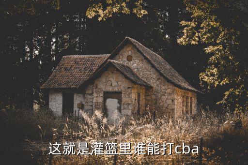 這就是灌籃楊鑫是涼山哪里的,《這就是灌籃》中張寧去哪了