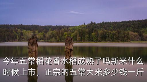 安徽稻花香五常大米多少錢,五常稻花香大米怎么樣