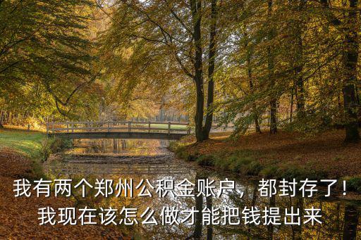 河南公積金封存了怎么取出來,公積金封存了