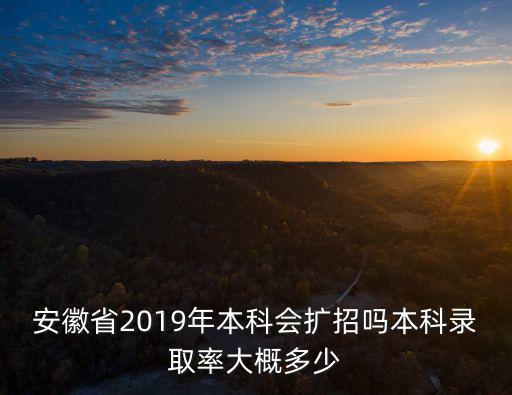 安徽錄取率多少,本科錄取率大概多少