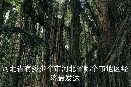 河北省有多少個市縣區(qū)鎮(zhèn),河北省有多少個市