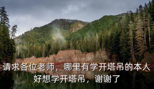請求各位老師，哪里有學(xué)開塔吊的本人好想學(xué)開塔吊，謝謝了