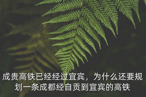 成貴高鐵已經經過宜賓，為什么還要規劃一條成都經自貢到宜賓的高鐵
