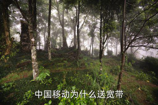 衡水移動多少錢送寬帶,移動99元套餐送寬帶