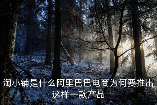 淘小鋪是什么阿里巴巴電商為何要推出這樣一款產品