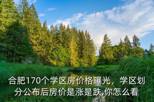 合肥頂級學(xué)區(qū)房指導(dǎo)價(jià)是多少,合肥170個(gè)學(xué)區(qū)房價(jià)格曝光