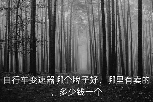 廣元市哪里有賣專業自行車,自行車都在哪里賣掉