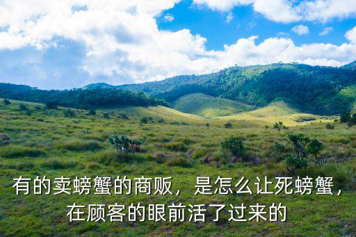 信陽哪里有賣活螃蟹的,有的賣螃蟹的商販