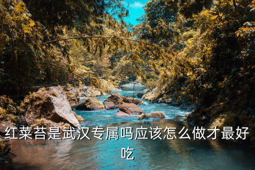 紅菜苔是武漢專屬嗎應該怎么做才最好吃