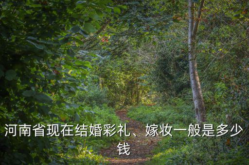河南離娘錢一般是多少錢,嫁妝一般是多少錢