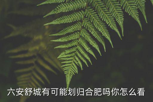 安徽舒城有多少家煲仔飯,煲仔飯有哪些菜品