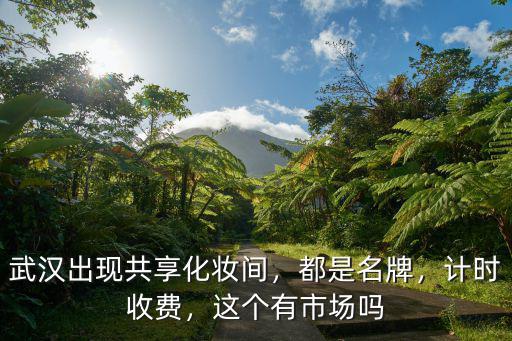 武漢出現(xiàn)共享化妝間，都是名牌，計(jì)時(shí)收費(fèi)，這個(gè)有市場嗎