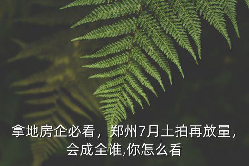鄭州土地6月集中土拍怎么看,12月鄭州土拍收官之戰