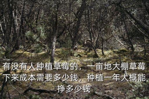 有沒有人種植草莓的，一畝地大棚草莓下來成本需要多少錢，種植一年大概能掙多少錢