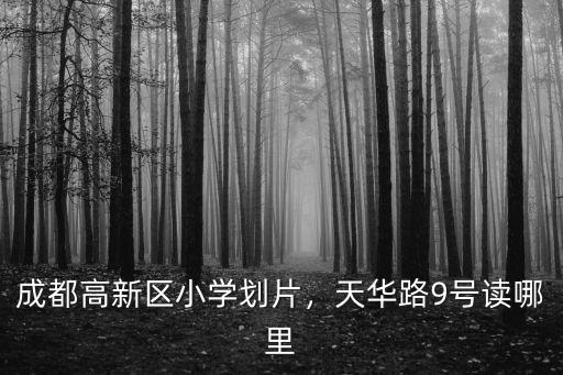 周濤成都哪里讀的小學(xué),成都高新區(qū)小學(xué)劃片