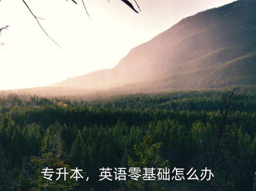 河南專升本英語怎么自學,怎么學好英語