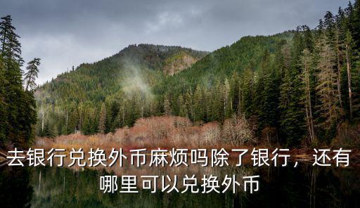 綿陽 哪里可以兌換外幣,還有哪里可以兌換外幣