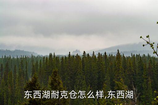 武漢東西湖耐克倉怎么樣,東西湖