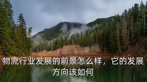 物流行業(yè)發(fā)展的前景怎么樣，它的發(fā)展方向該如何