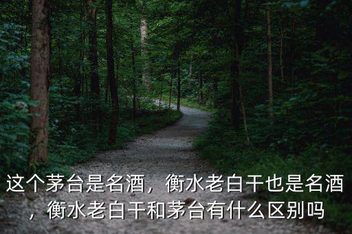 這個茅臺是名酒，衡水老白干也是名酒，衡水老白干和茅臺有什么區別嗎
