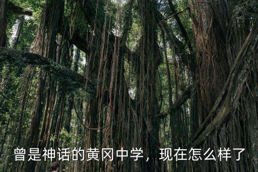 曾是神話的黃岡中學(xué)，現(xiàn)在怎么樣了