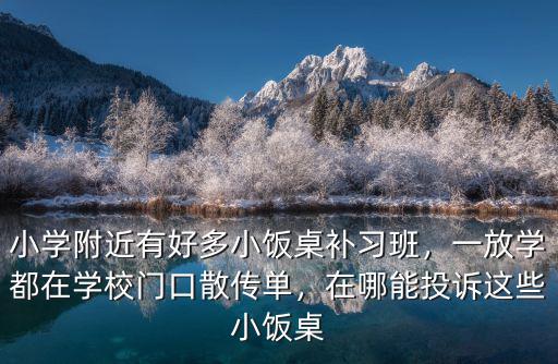 六安小學(xué)生參加小飯桌有多少人,在哪能投訴這些小飯桌