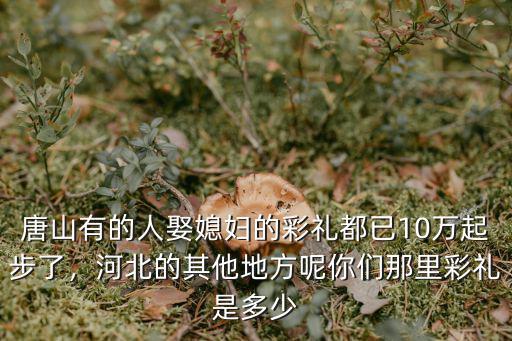 唐山有的人娶媳婦的彩禮都已10萬(wàn)起步了，河北的其他地方呢你們那里彩禮是多少