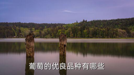 眉山巨峰葡萄哪里多,巨峰葡萄坐果過多怎么辦