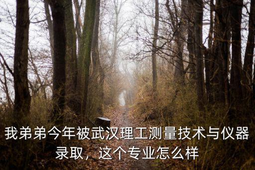武漢科穩(wěn)測控技術(shù)有限公司怎么樣,武漢科技大學(xué)的測控專業(yè)怎樣