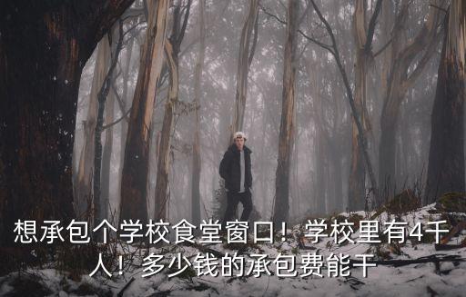 想承包個學校食堂窗口！學校里有4千人！多少錢的承包費能干