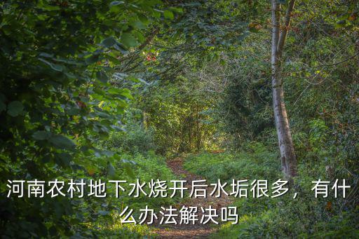 河南農(nóng)村地下水燒開(kāi)后水垢很多，有什么辦法解決嗎