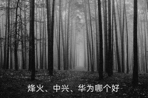 烽火、中興、華為哪個好