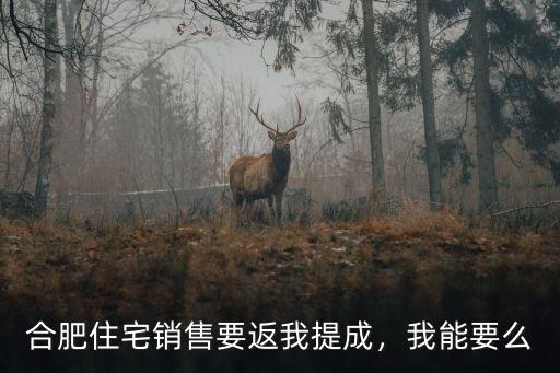 合肥買房提成率多少,合肥現(xiàn)在買房提成到底有多少