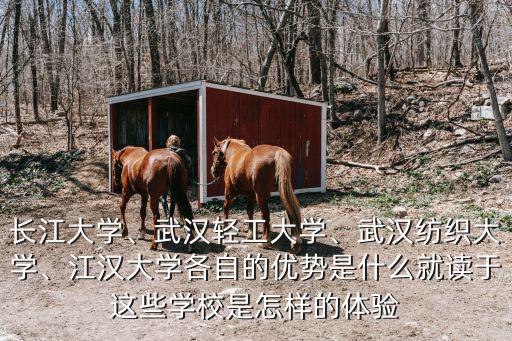 武漢紡織大學怎么申請保研,武漢紡織大學
